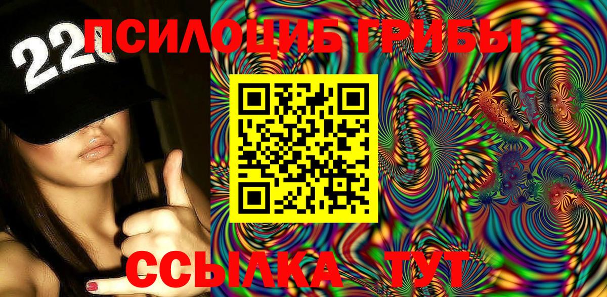Галлюциногенные грибы Psilocybine cubensis Нижнекамск